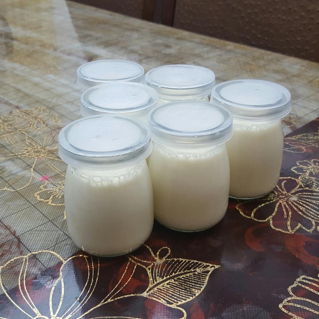 面包机版自制酸奶