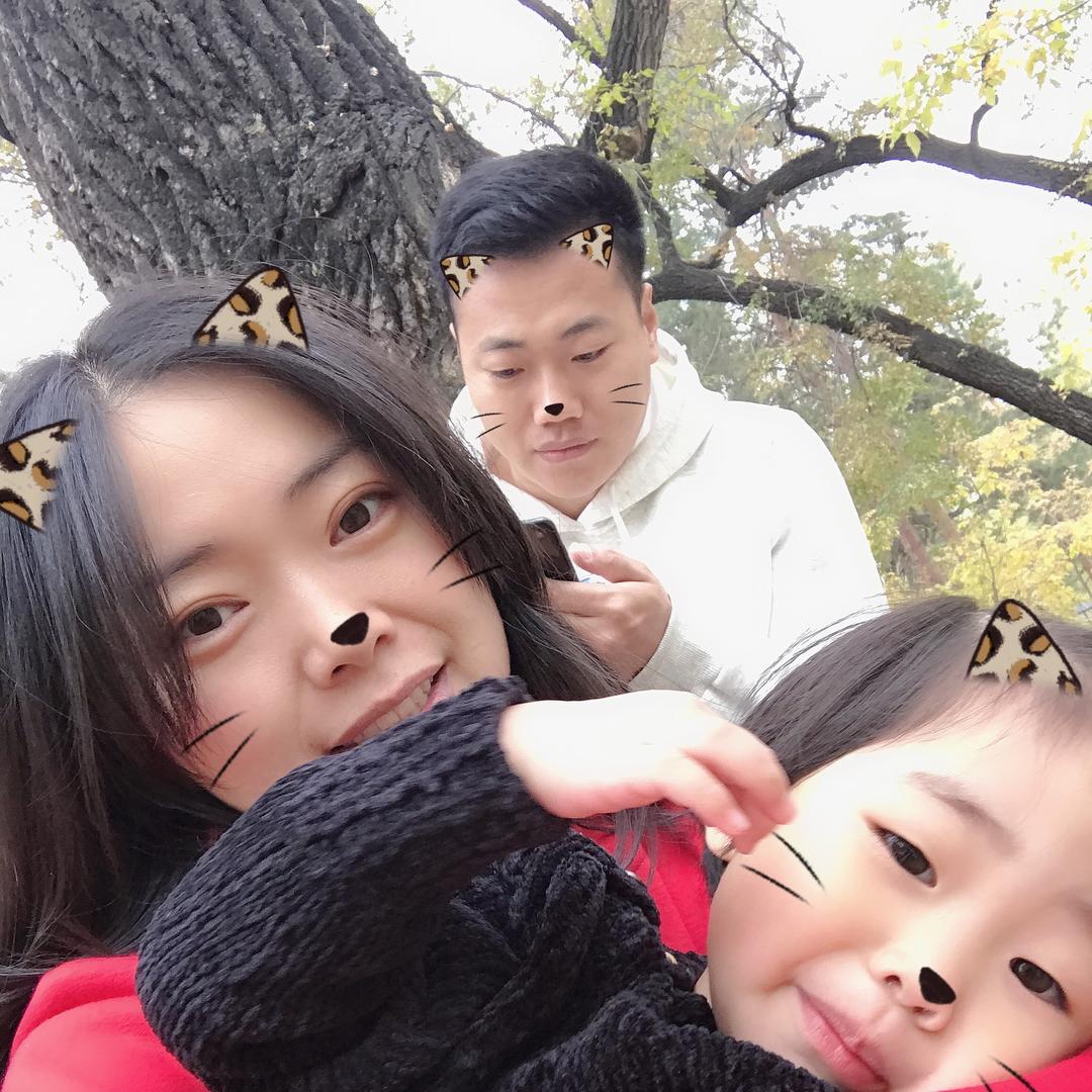 糸属