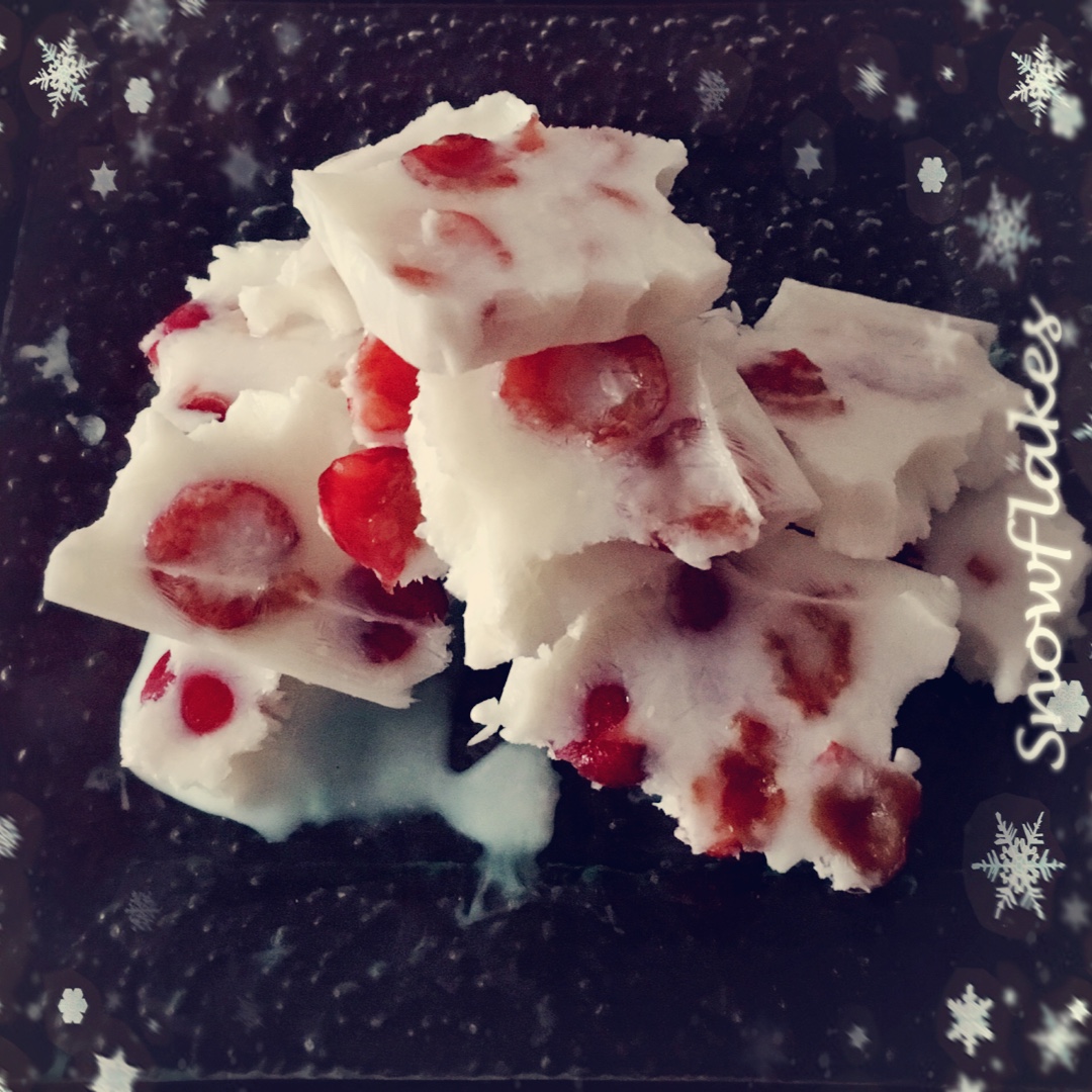 酸奶水果薄脆Yogurt Fruits Bar