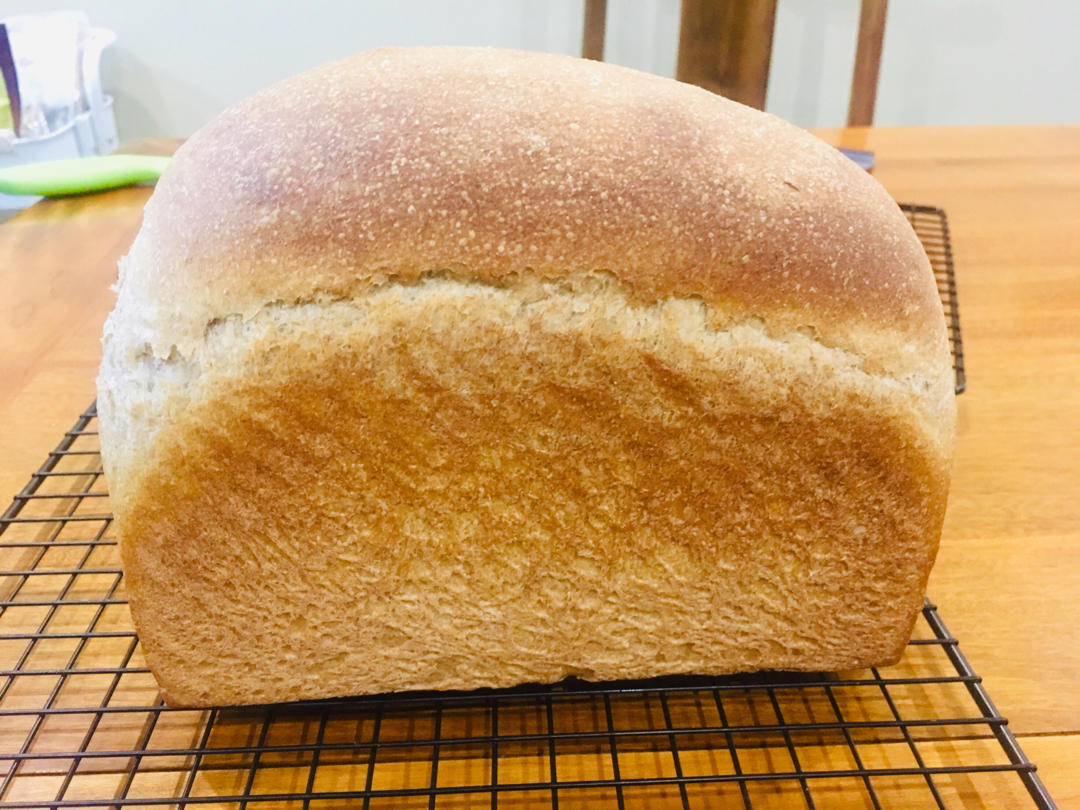 天然酵母全麦吐司（无糖无油无蛋）【消耗弃种】