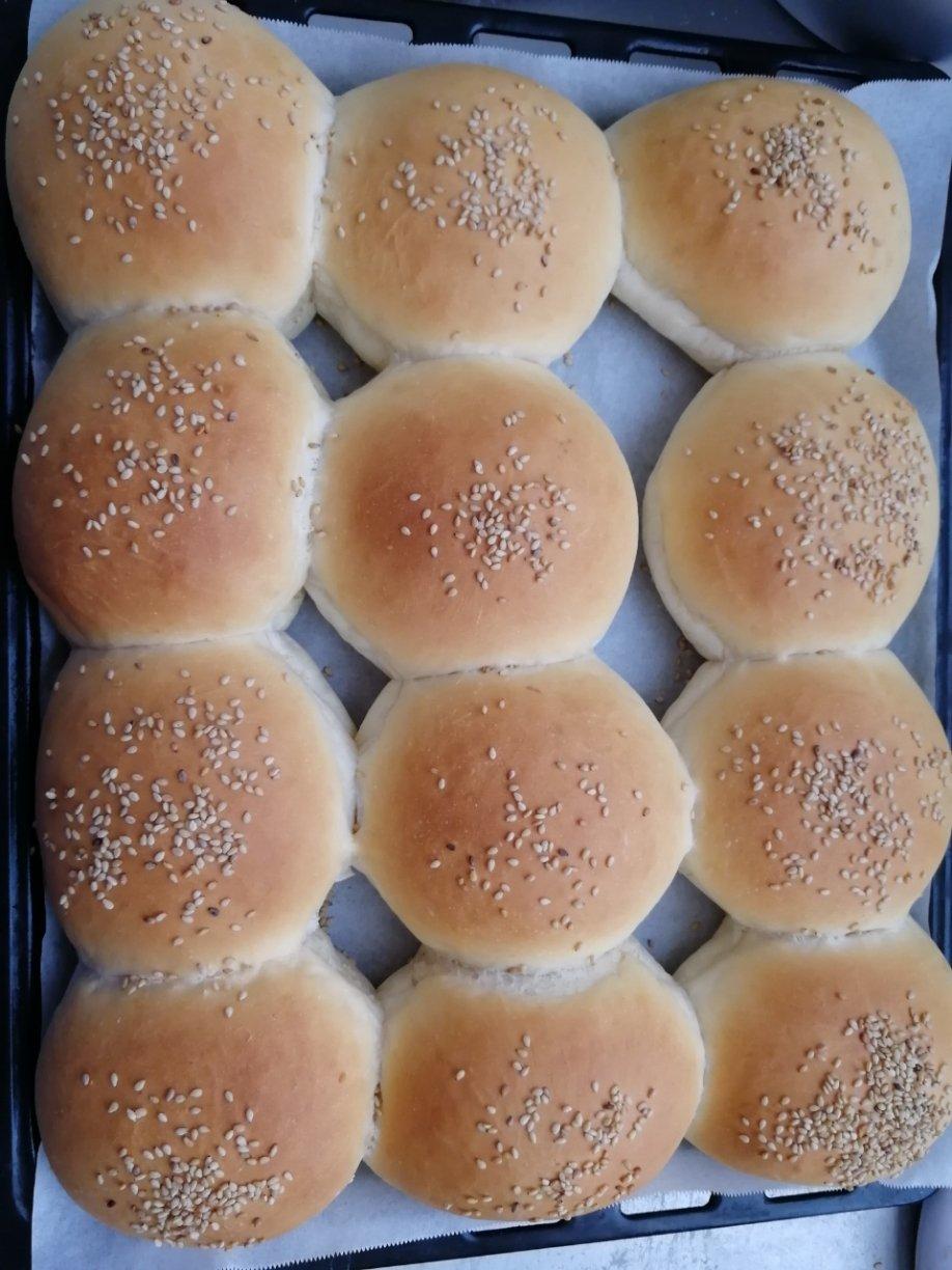 汉堡胚 poolish（波兰种）