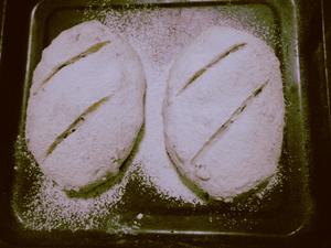 全麦核桃软欧面包的做法 步骤9
