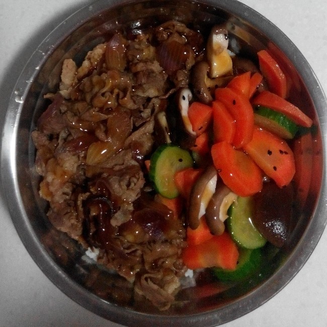 宝儿小状做的吉野家牛肉饭