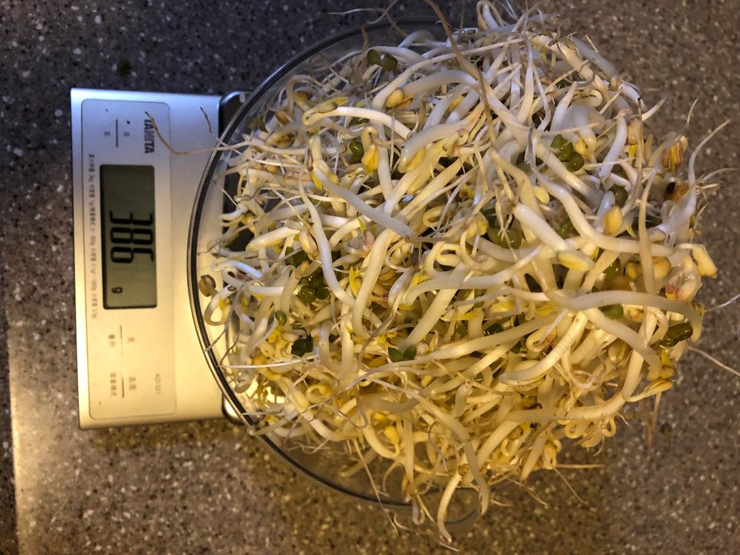 自己发豆芽【果汁盒/大牛奶盒】