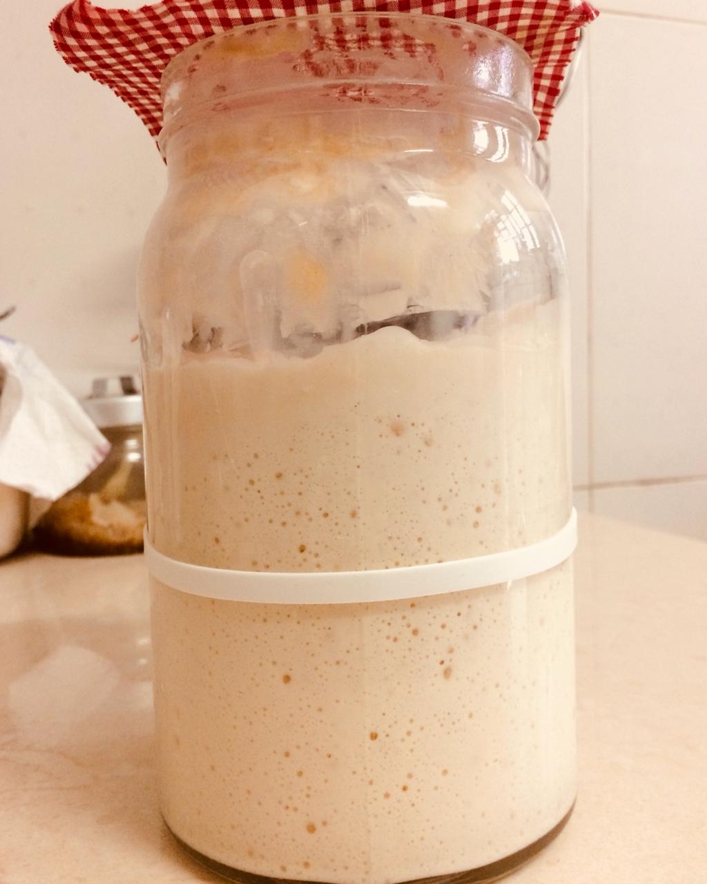 【Ken Forkish】天然酵种培养