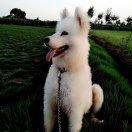 手机用户7853_1rcy