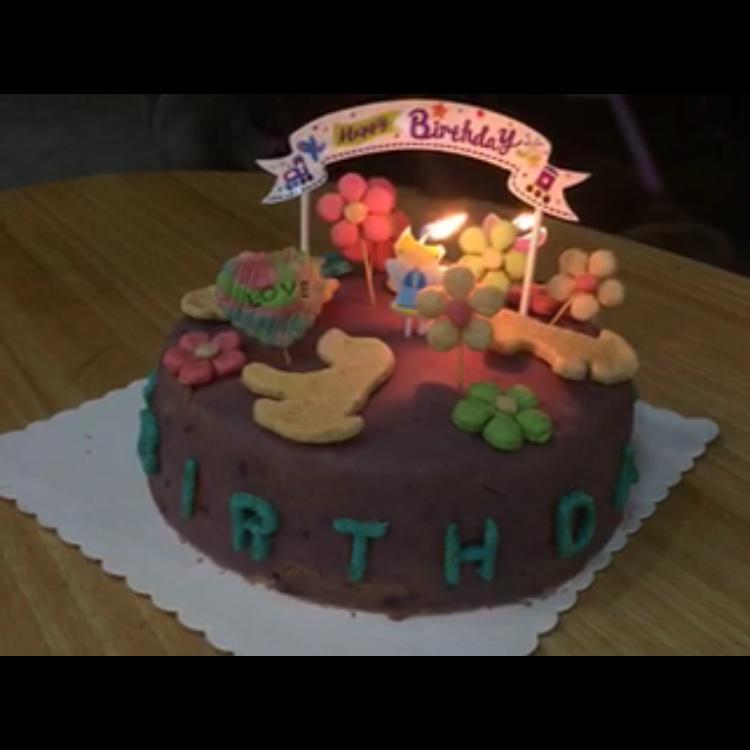 狗狗生日蛋糕（纯天然无色素无面粉）