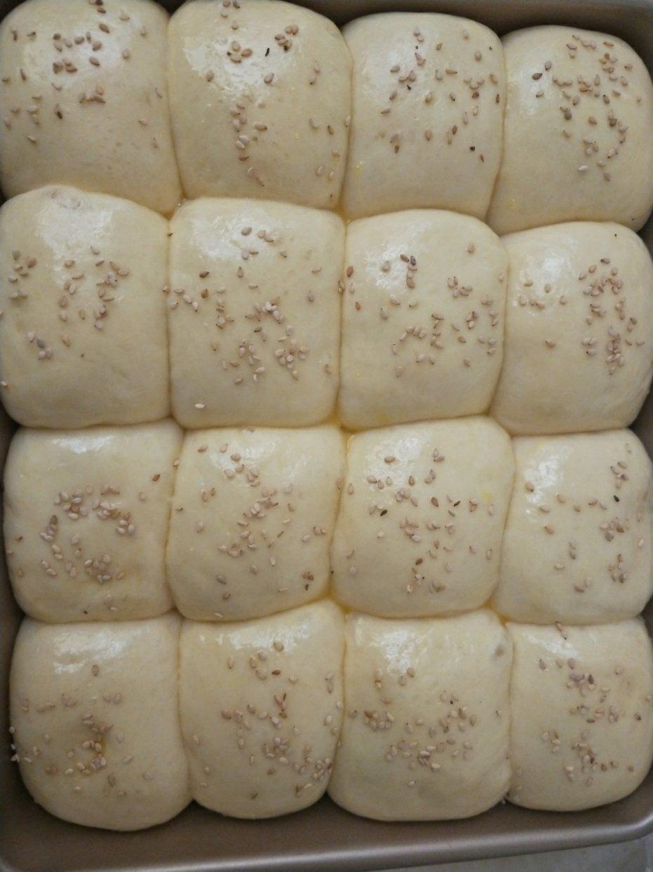 鲜奶油小餐包（一次发酵）
