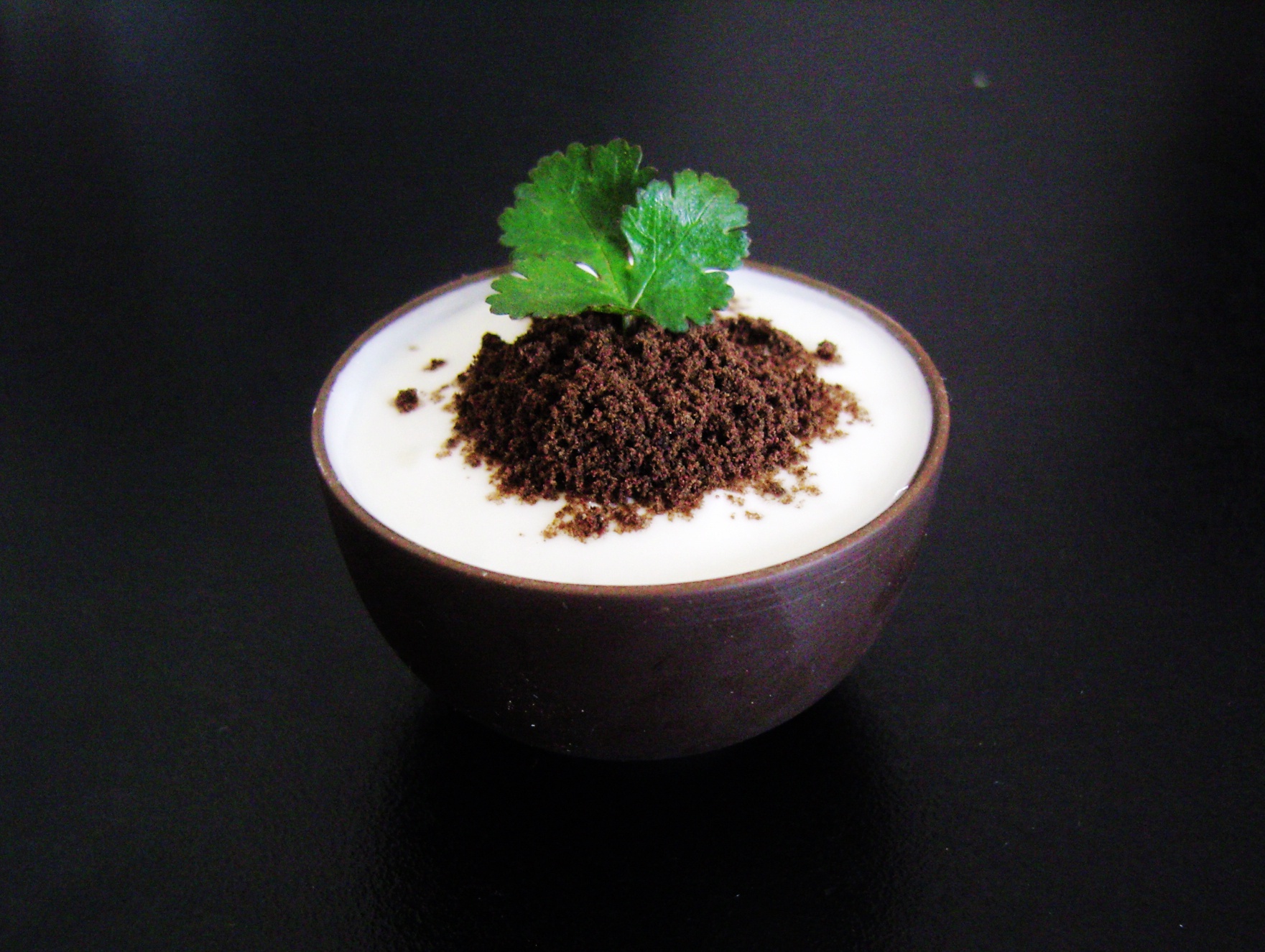 我是多么爱吃饭做的盆栽酸奶