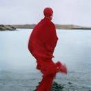 心花怒放却开到荼靡-1