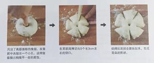 全麦核桃花环面包的做法 步骤2
