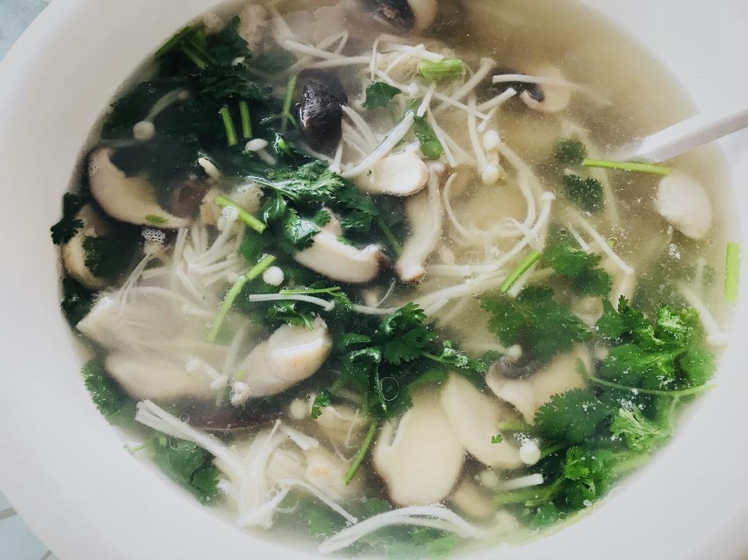 冬日暖汤——菌菇汤