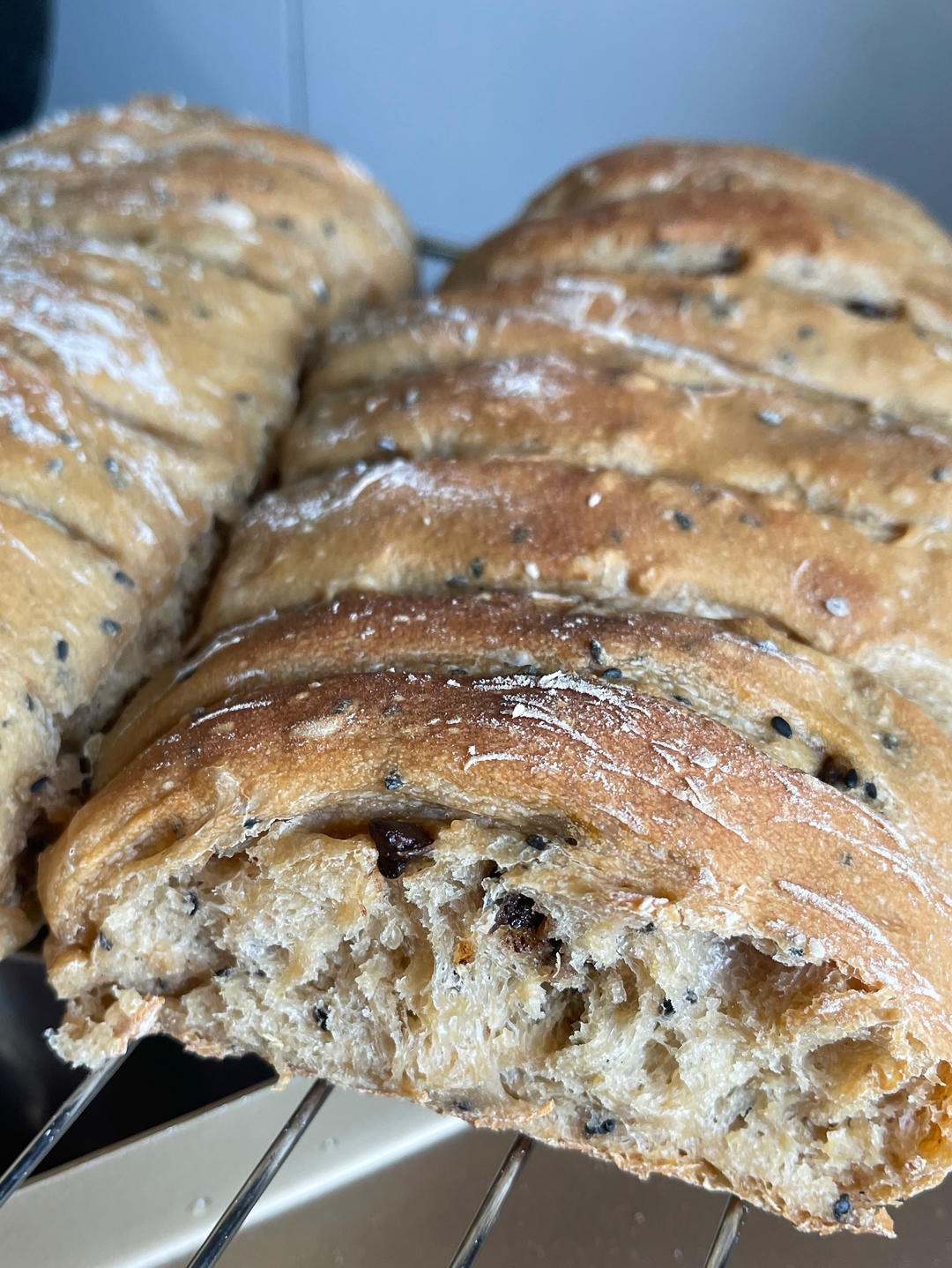 无油 无糖
免揉！全麦坚果欧包、吐司（葡萄干、燕麦、黑芝麻、南瓜籽）