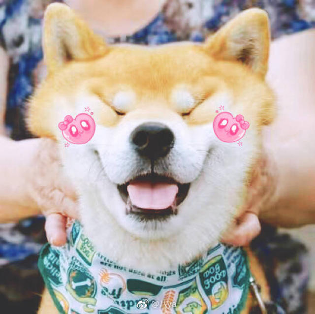 吃不胖的张老师