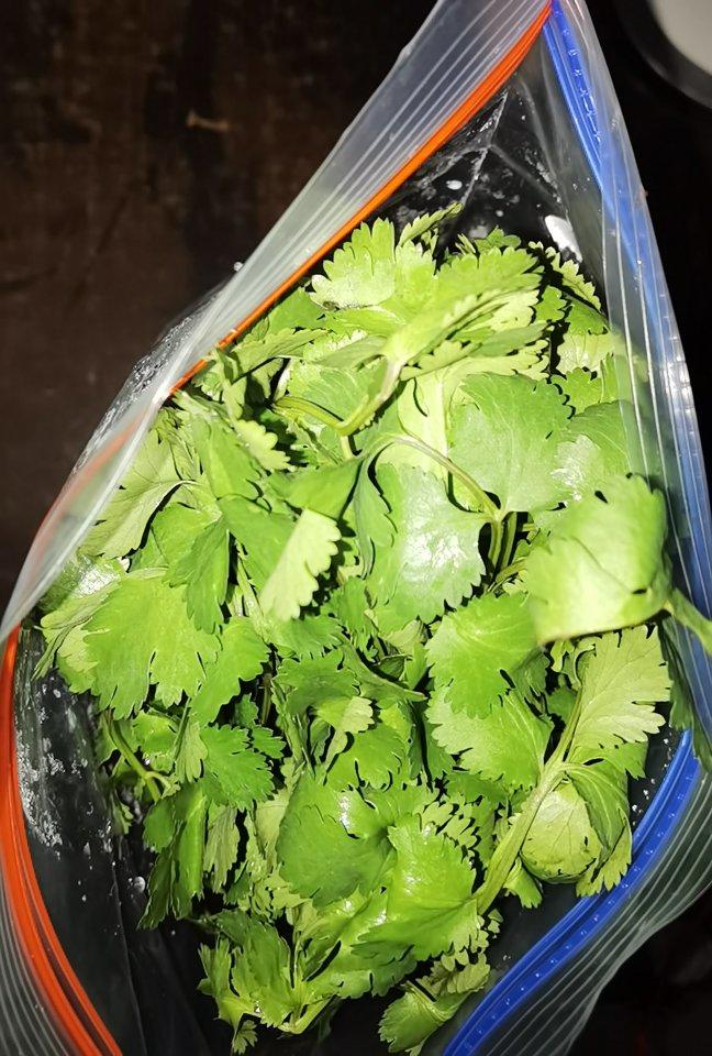 香菜保存方法：放冰箱养