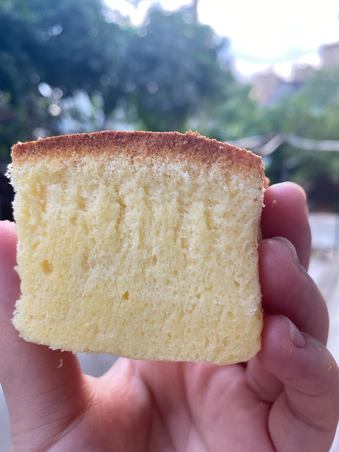 原味古早味蛋糕（8寸）