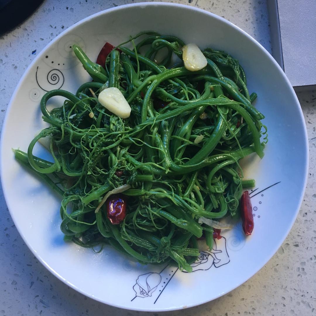 coco感谢你做的素炒丝瓜尖