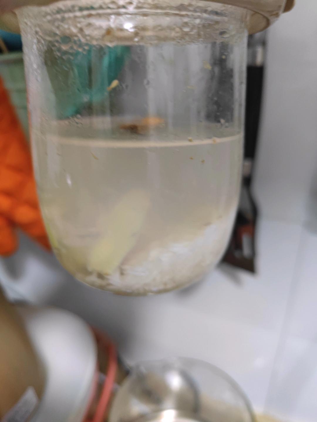 水果椰奶冻【10月北鼎养生壶食谱】