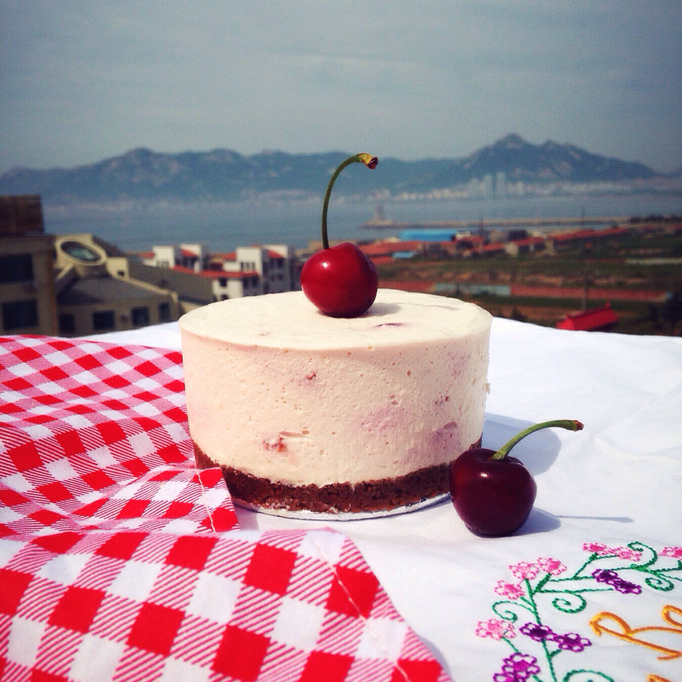 桑葚冻芝士（4寸圆模量）