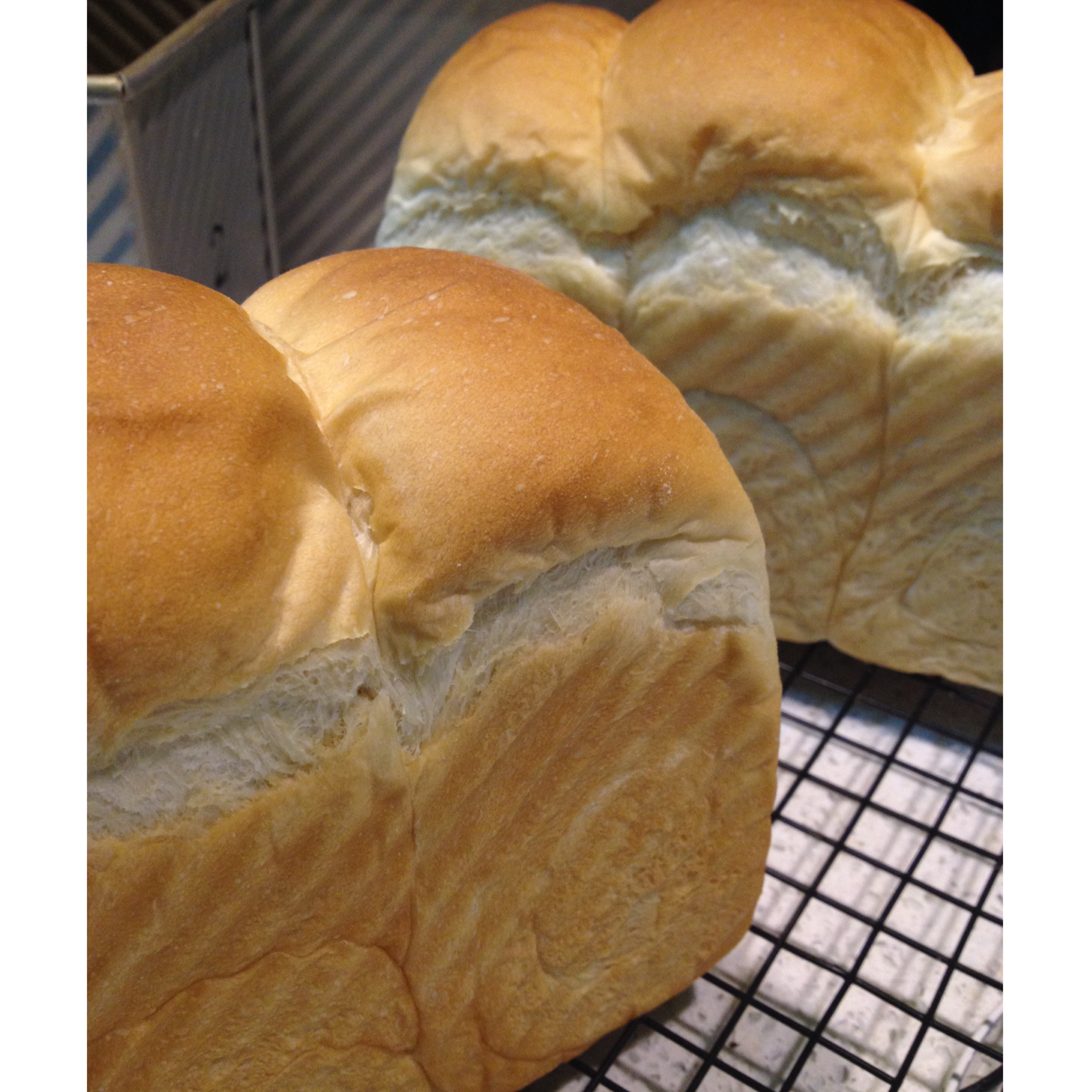 简单白吐司～17小时冷藏中种