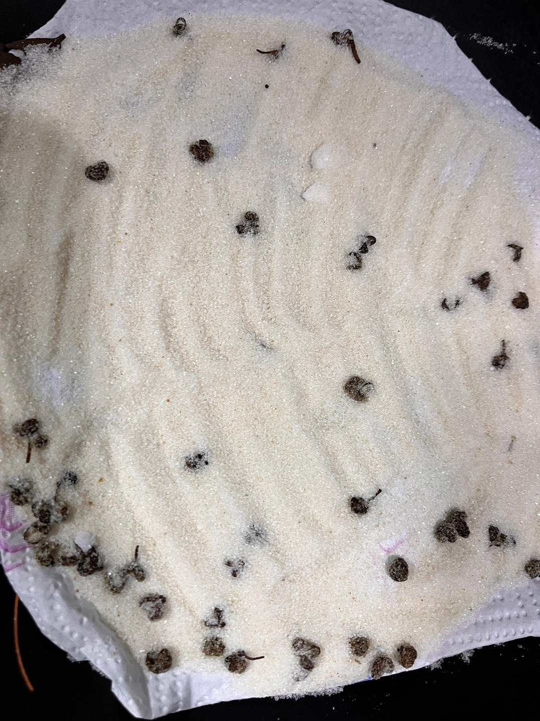 超大超鲜的盐焗🦐虾