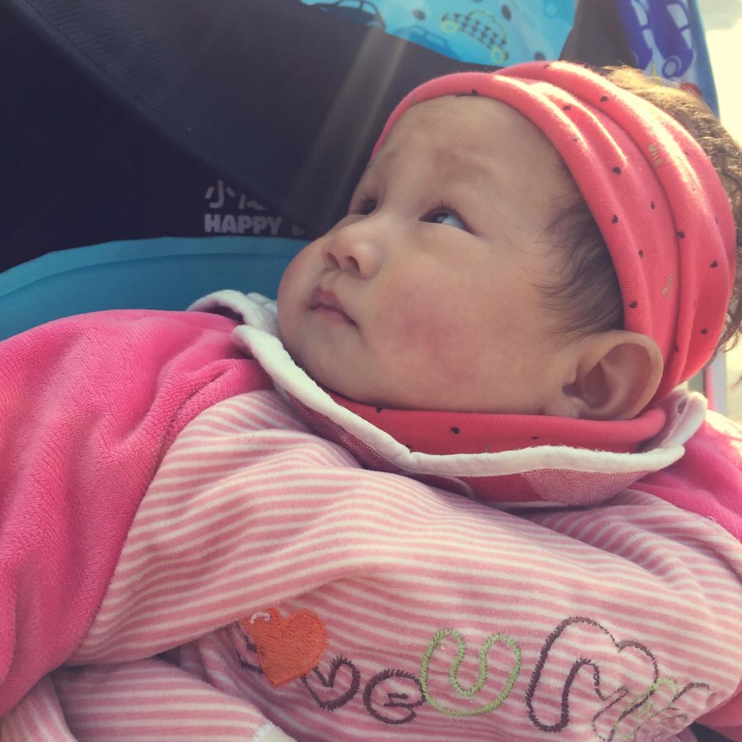 等风来的小女孩