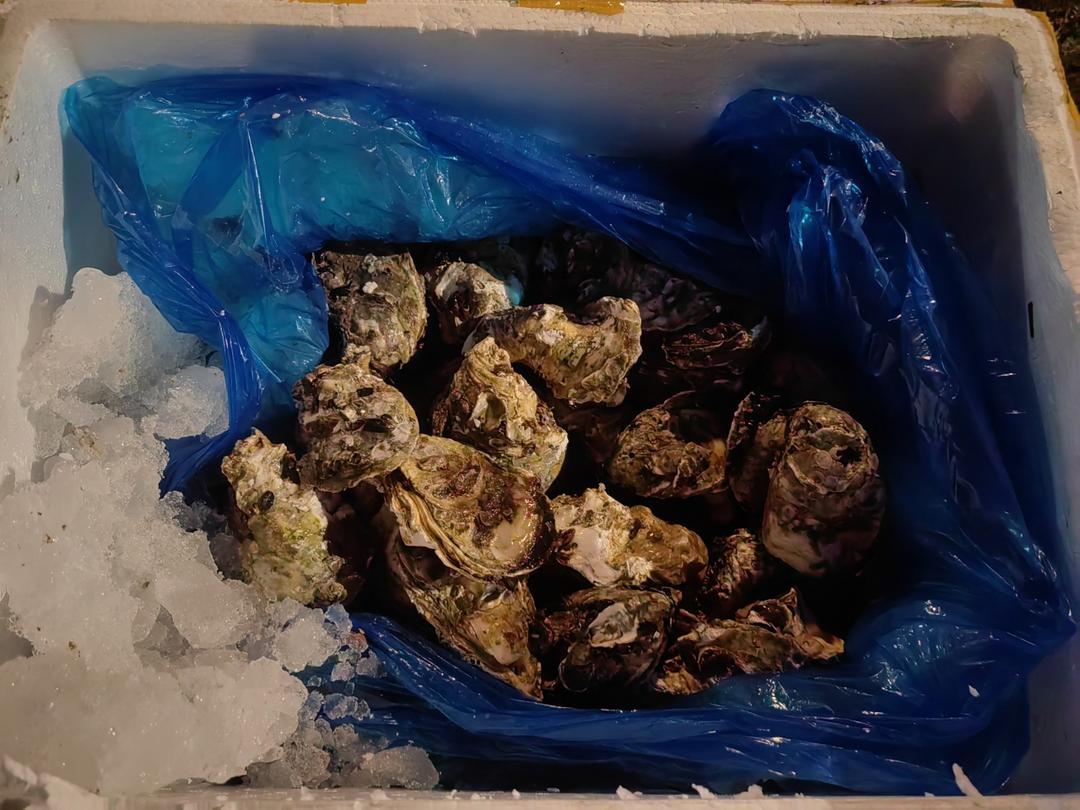 清蒸生蚝（附酱料做法）