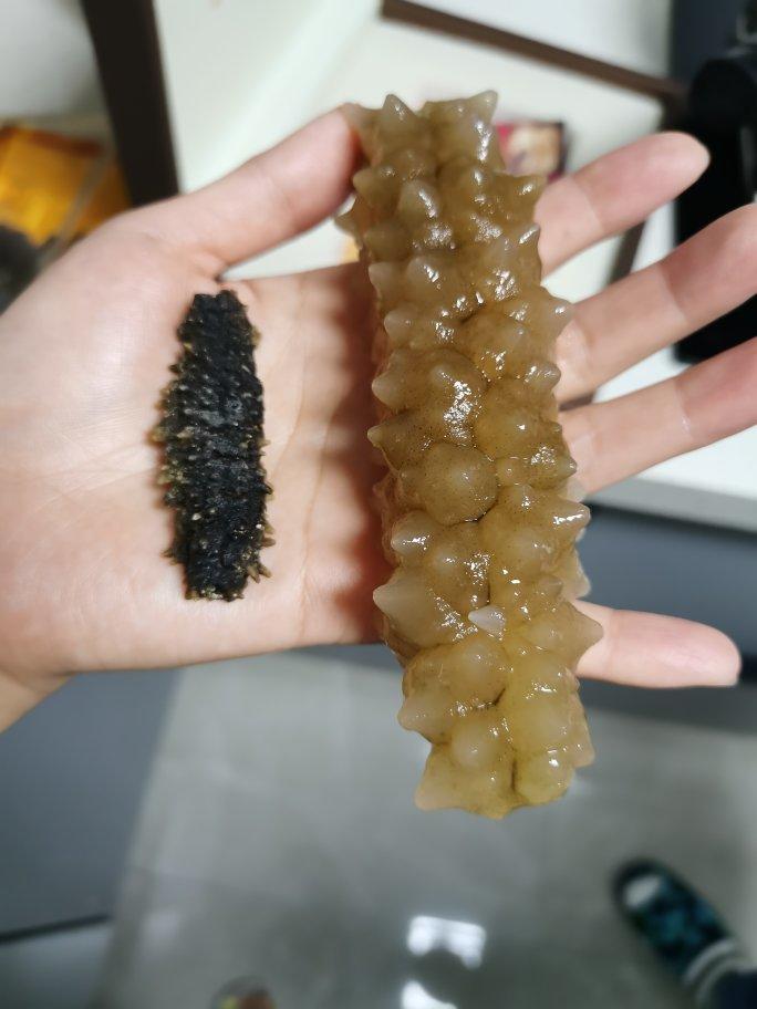 泡发海参的方法