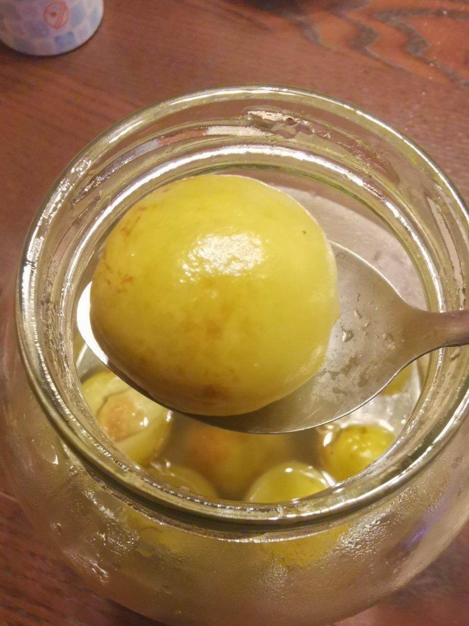 sxaimsfqxfqxz做的美味～泡李子