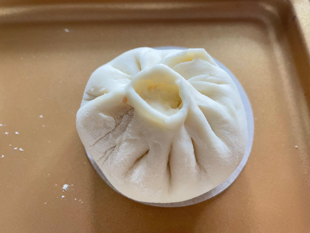 一次发酵肉包子