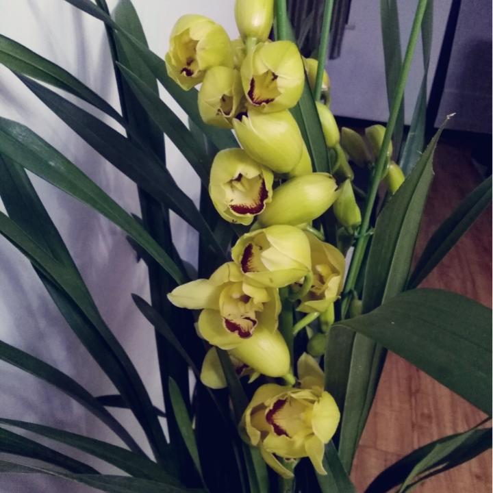 CH唯有美食不能辜负