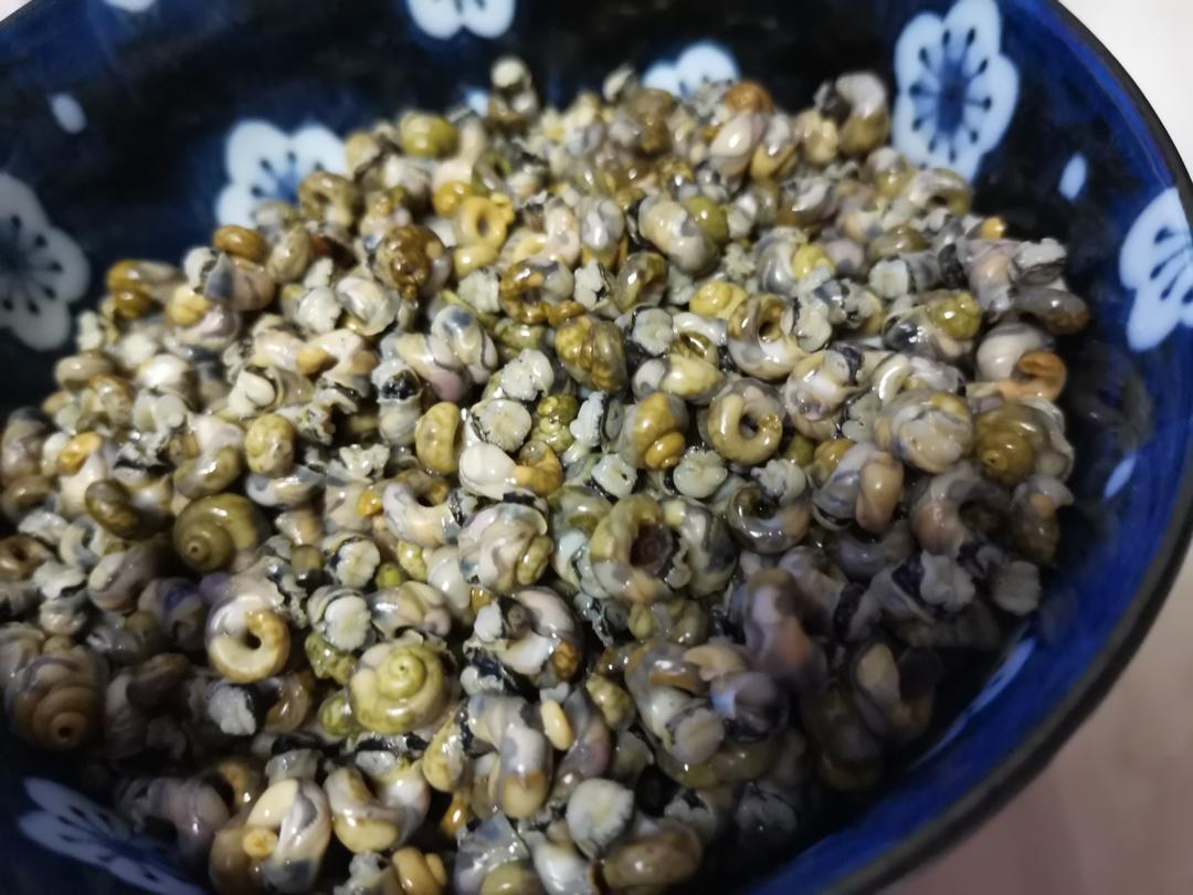 手拨香波罗