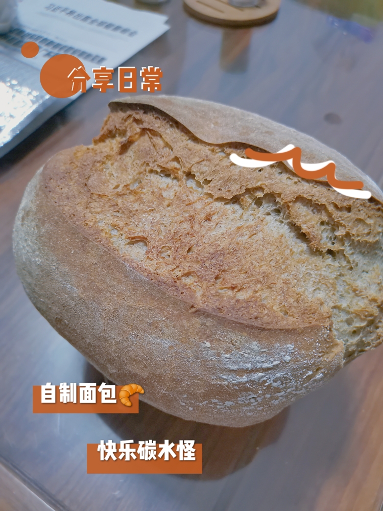 【记录】硬种鲁邦种酸面包的做法