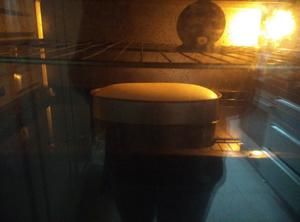轻乳酪蛋糕（一个椭圆模的量）的做法 步骤15