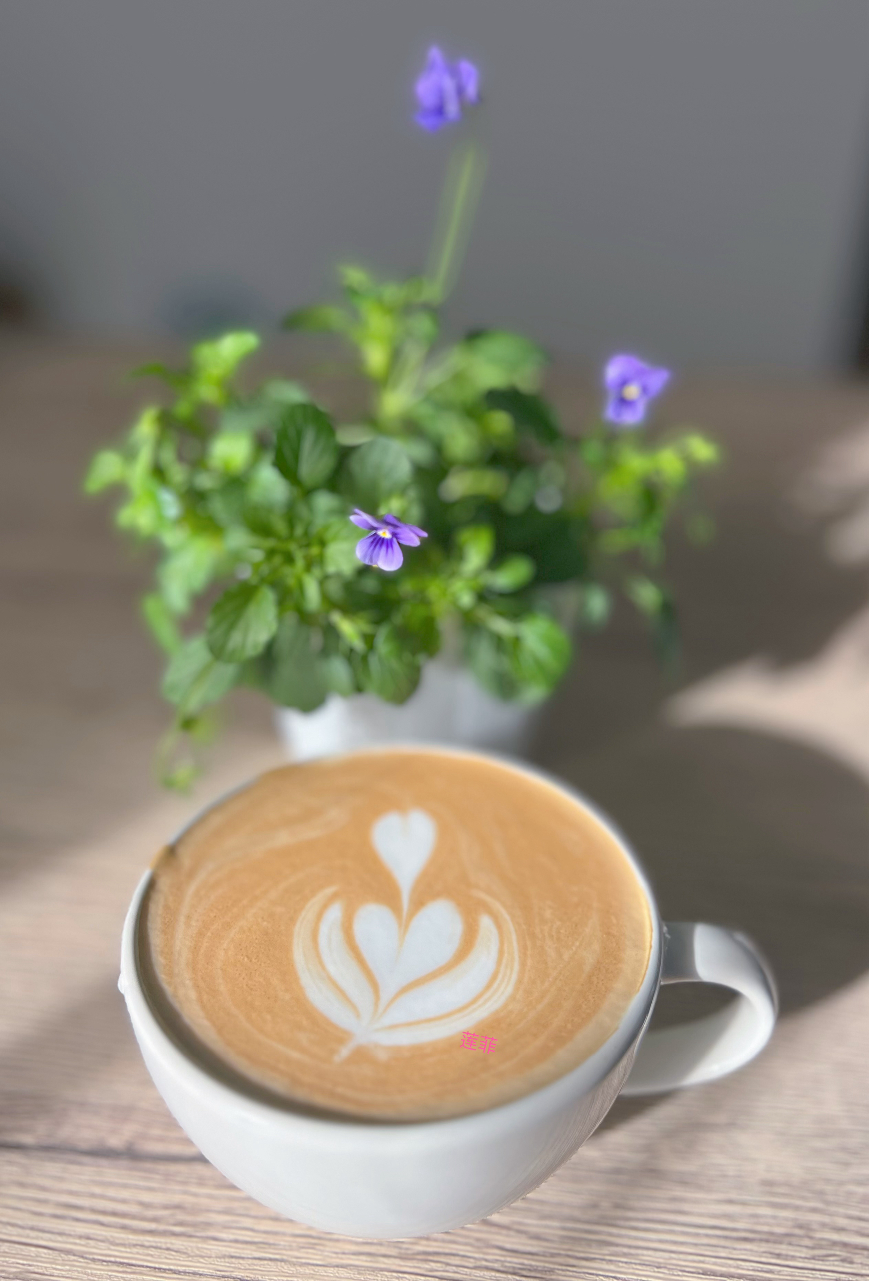 咖啡拉花☕️日记