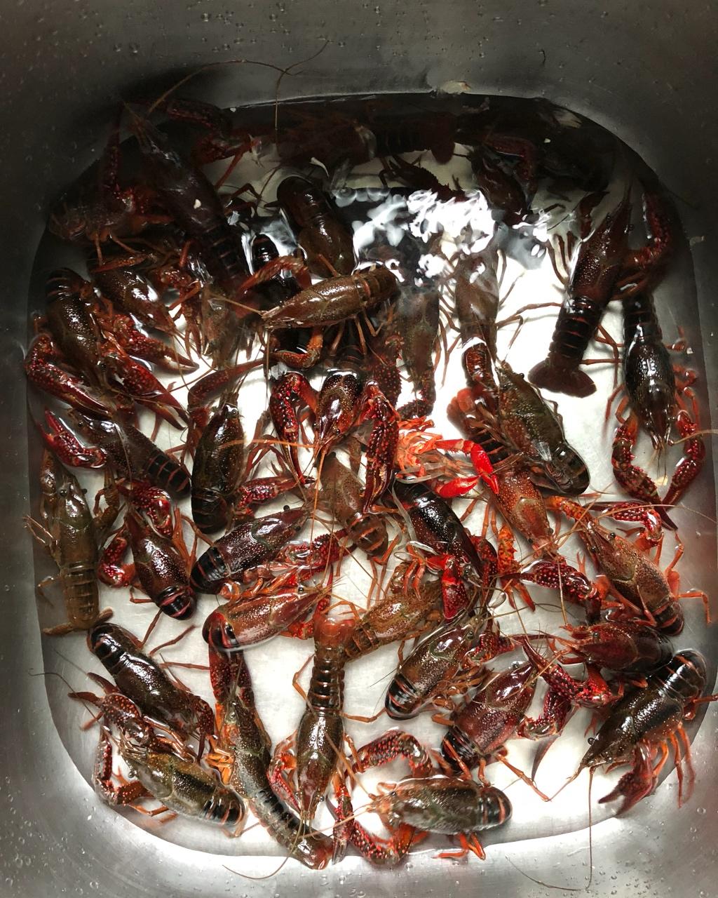 麻辣小龙虾