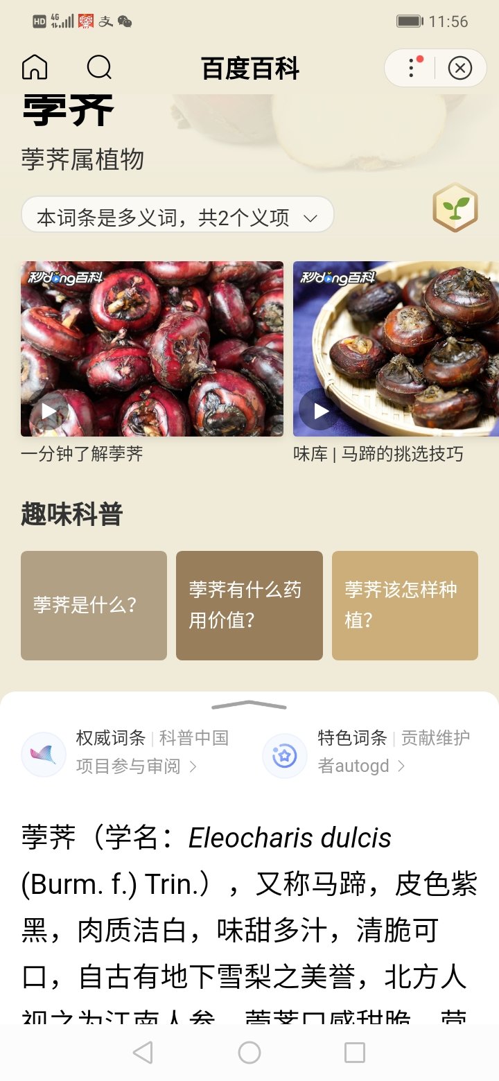 韭菜猪肉饺子(最简单最好吃又最多汁的饺子)