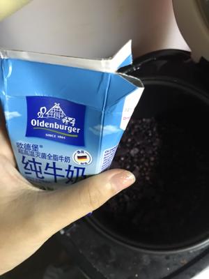 香浓牛奶紫薯黑米粥的做法 步骤9