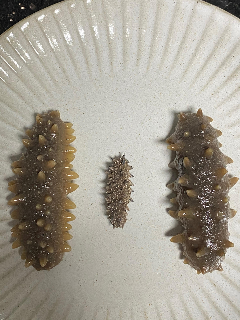 自己泡发海参（海参泡发详细步骤）