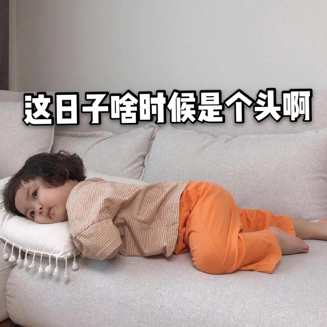远方有大树