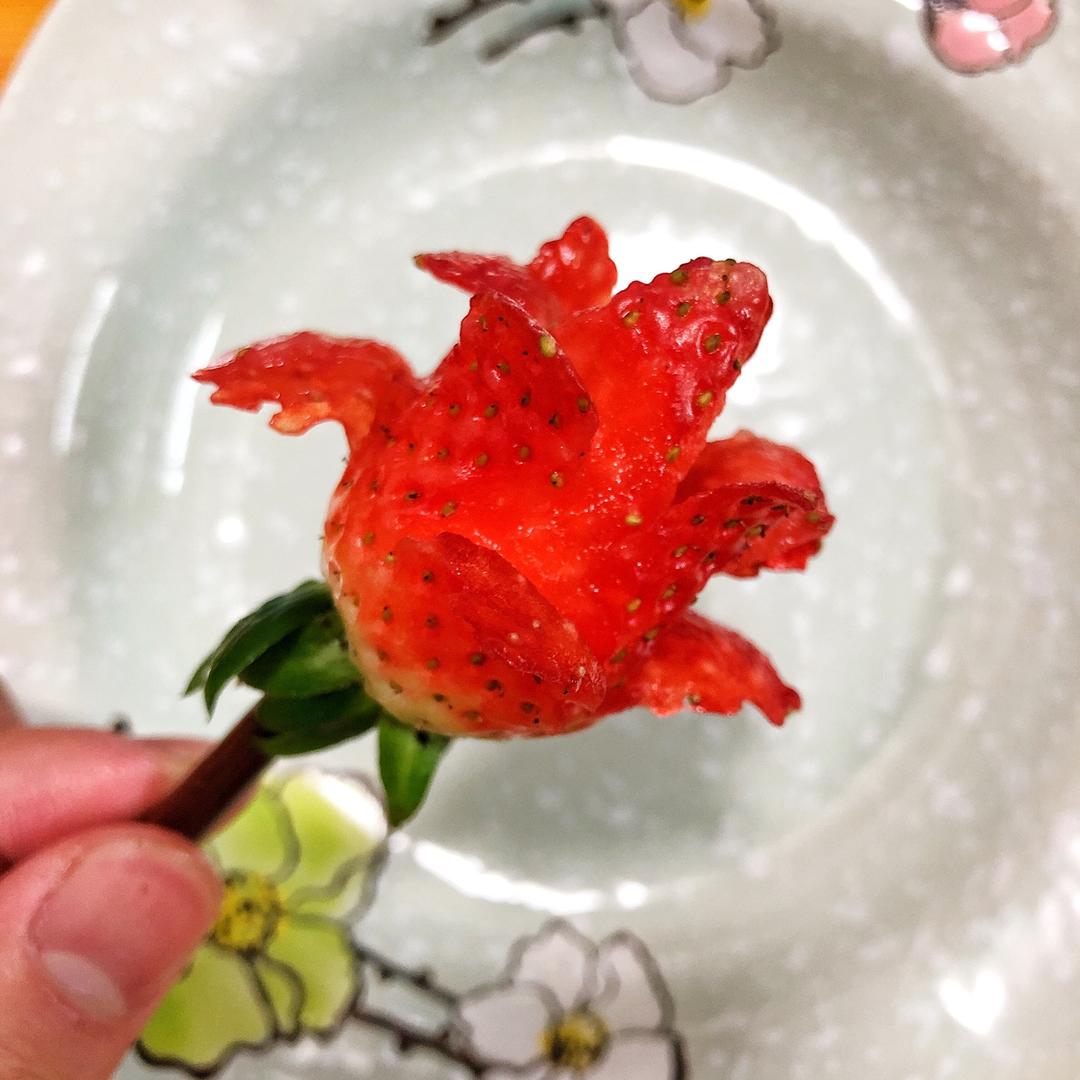 玫瑰花草莓