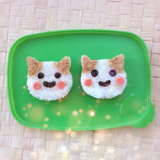 黑白纹小猫饭团