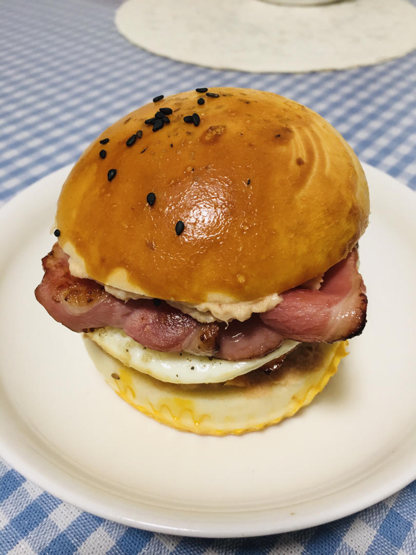 汉堡胚（中种法）