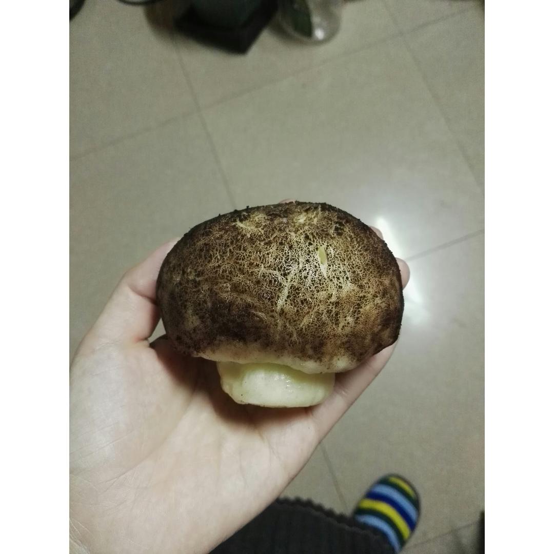 蘑菇包