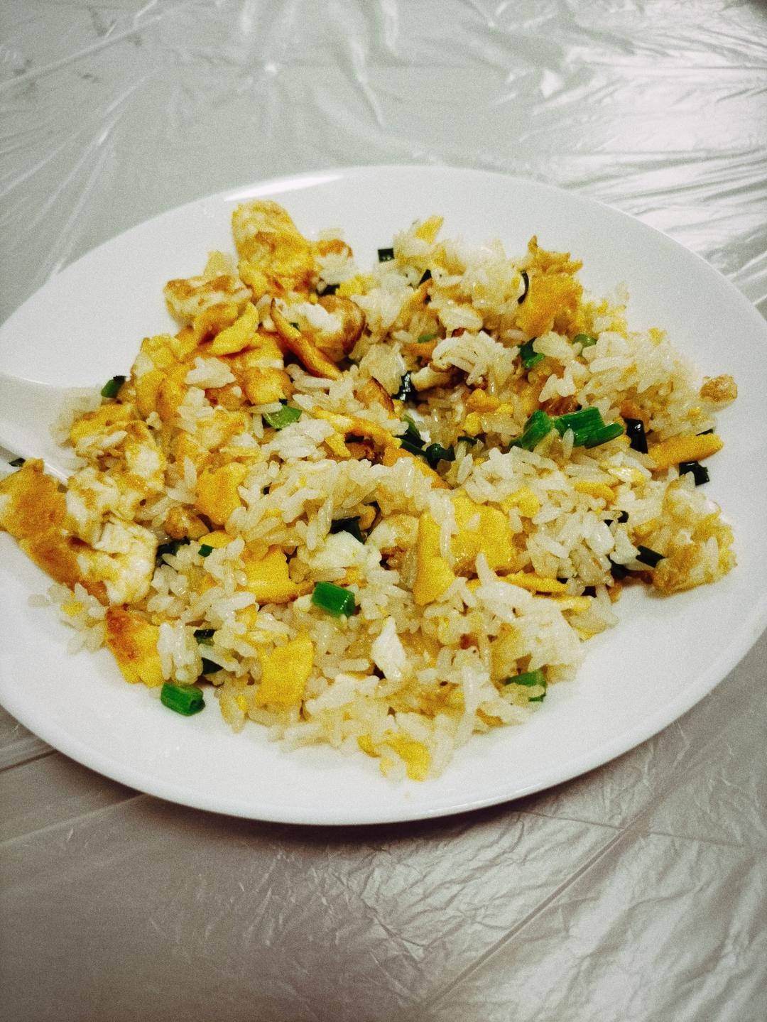 【一碗蛋炒饭】最最最简单的炒饭！！！