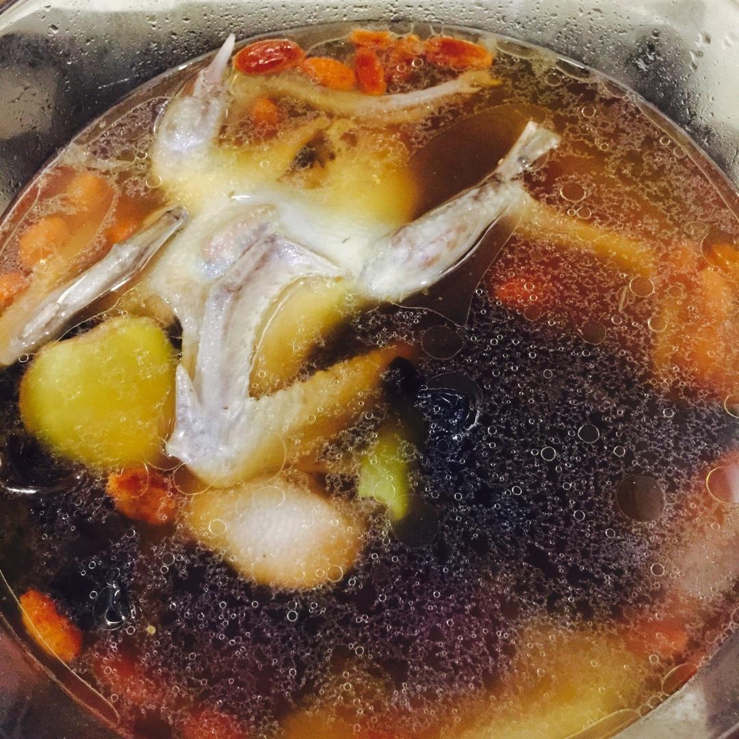 枣杞乳鸽汤