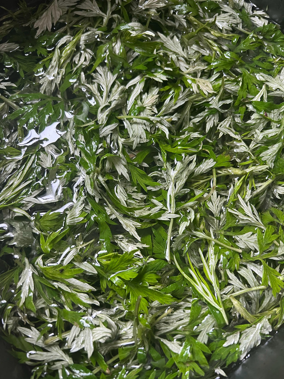 做一笼好吃的艾草馒头&艾草豆沙包