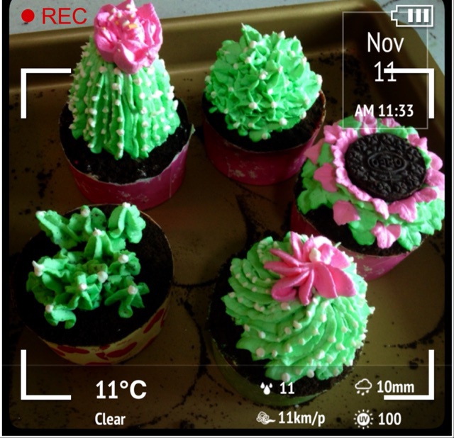 多肉植物仙人球杯子蛋糕（抹茶草莓可可cupcake）