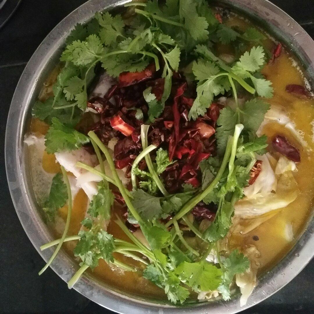 泡菜鱼