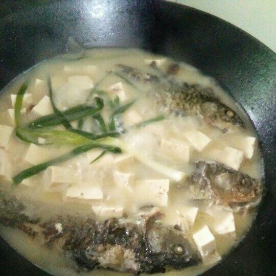 张姐-鱼头(鲫鱼)豆腐汤
